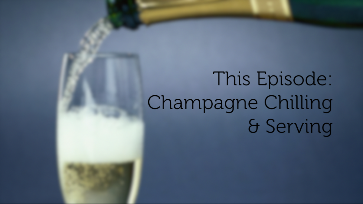 Champagne Uncorked Chilling Champagne for Serving Keeper Collection